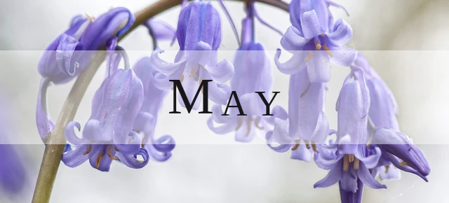 May